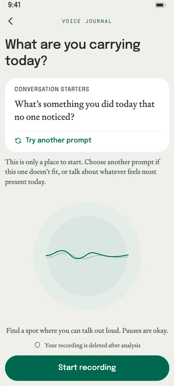 Voice Journal recording screen asking: What are you carrying today?